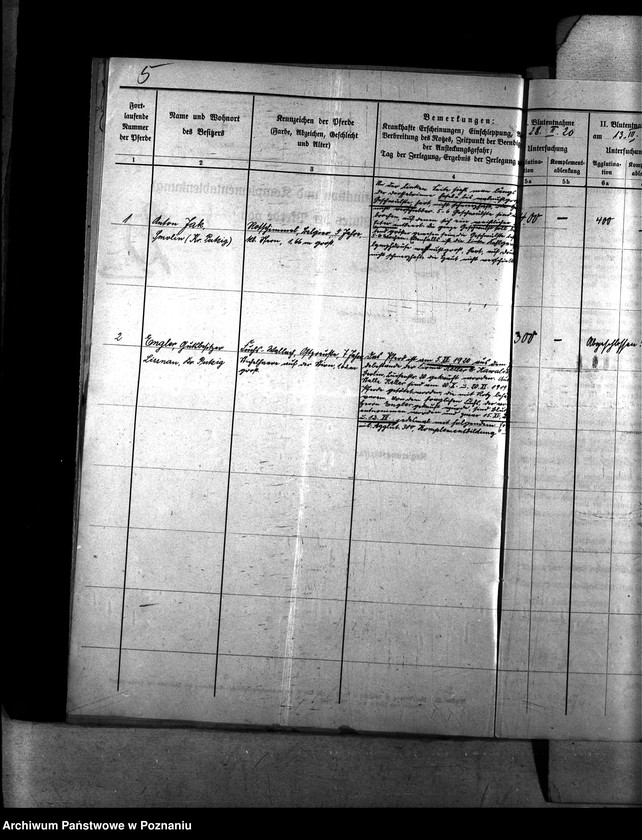 Obraz 9 z jednostki "Nosacizna - Puck"