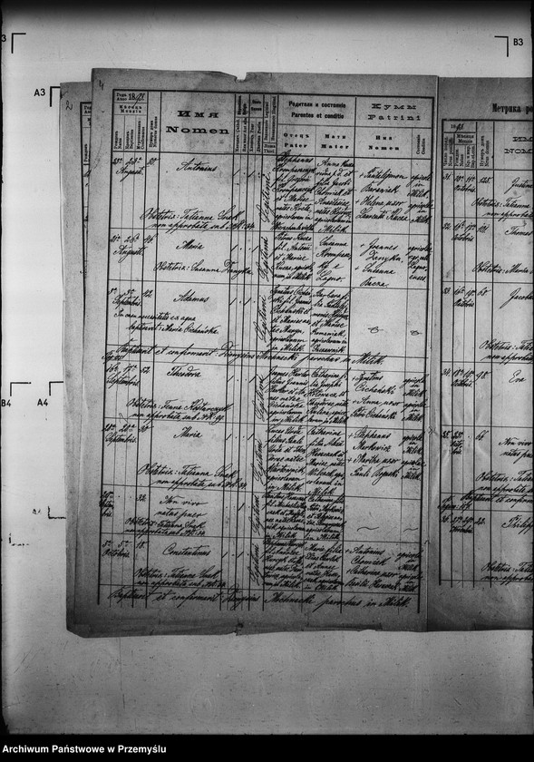 Obraz 8 z jednostki "[Kopie ksiąg metrykalnych parafii Milik z filią Andrzejówka (dekanat Muszyna)]"