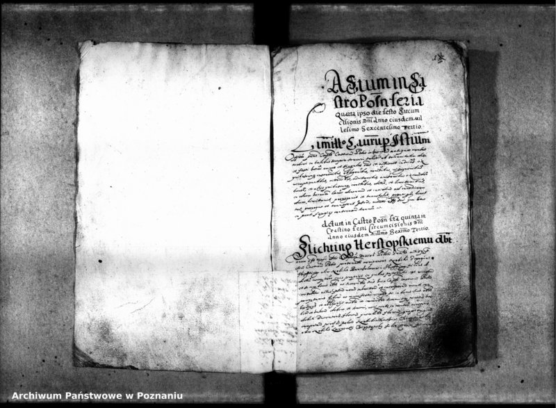 Obraz 6 z jednostki "Inscriptiones [inducta]"