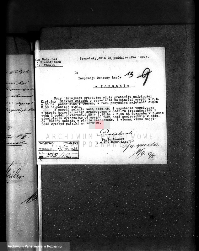 Obraz 18 z jednostki "Majętność leśna Kiełpiny powiat wolsztyński"