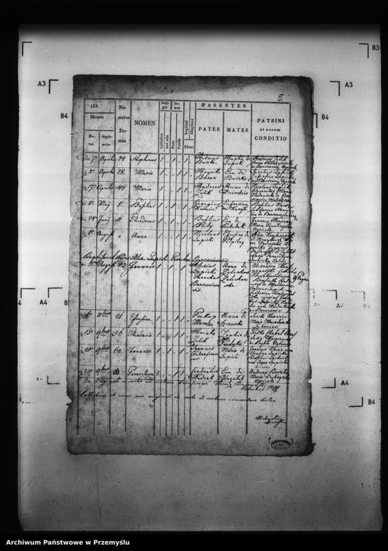 image.from.unit.number "[Kopie ksiąg metrykalnych parafii Borszowice z filiami Bybło, Paćkowice (dekanat Niżankowice)]"