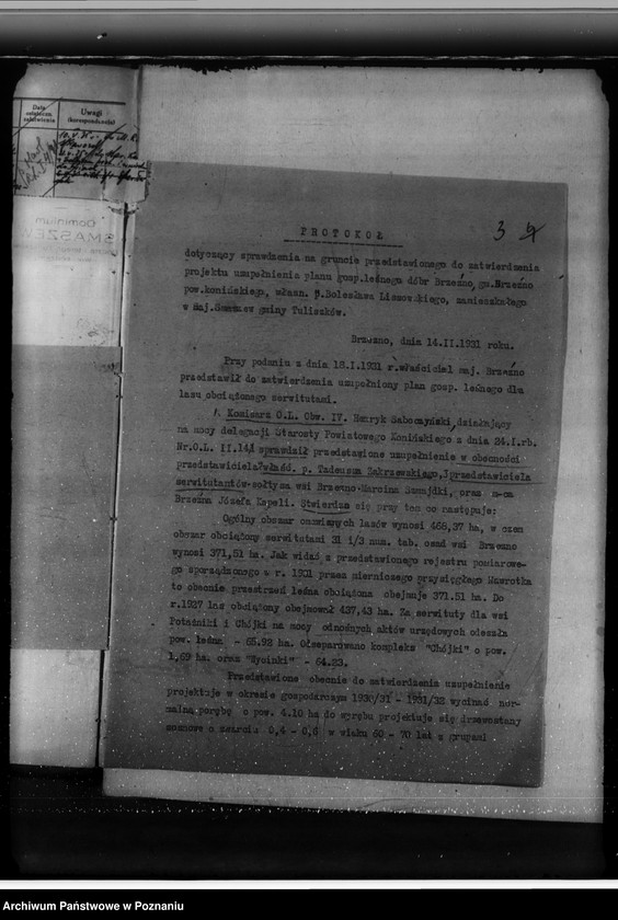 Obraz 7 z jednostki "Lasy majątku Brzeźno powiat koniński"