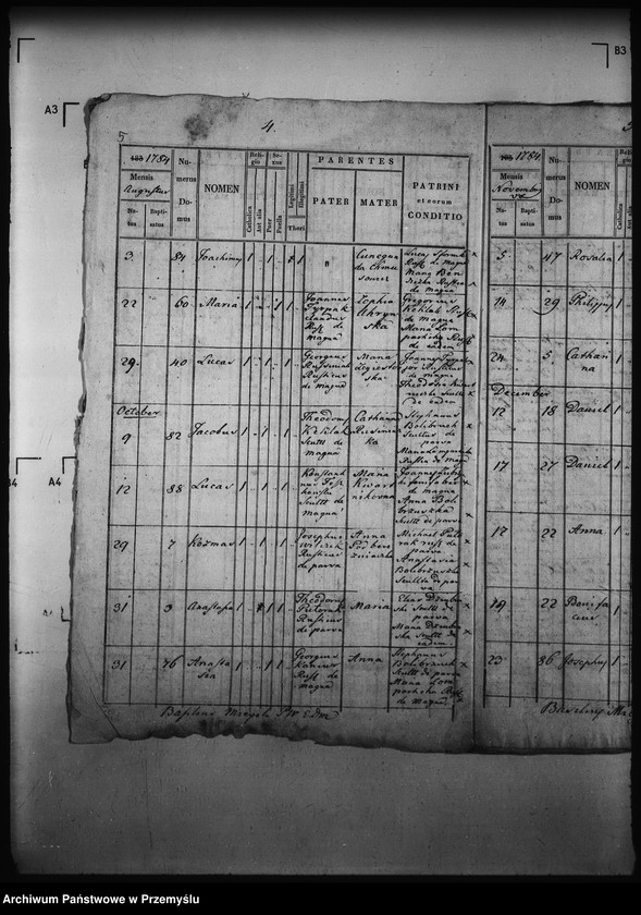 Obraz 9 z jednostki "[Kopie ksiąg metrykalnych parafii Wierzchomla Wielka z filiami Wierzchomla Mała, Zubrzyk (dekanat Muszyna)]"