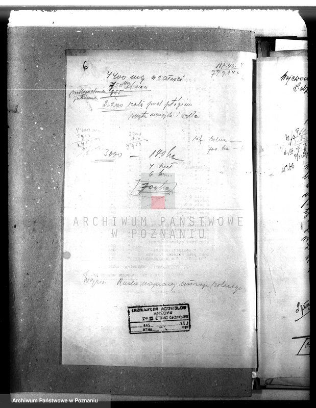 Obraz 10 z jednostki "Majętność leśna Drzeczkowo powiat leszczyński"