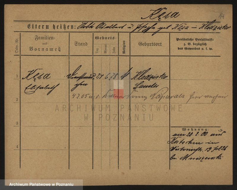 Obraz 14 z jednostki "Kępski - Kielasiński (Kü)"