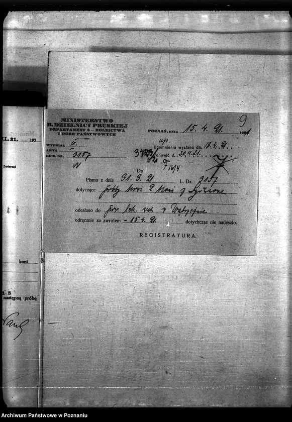 Obraz 13 z jednostki "Nosacizna - Wąbrzeźno"