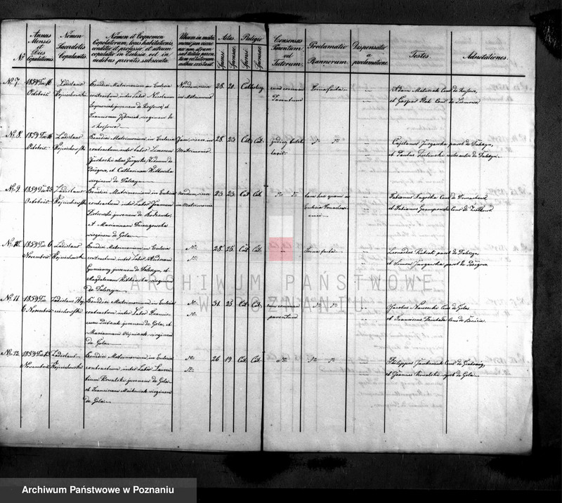 Obraz 3 z jednostki "Liber copulatorum"