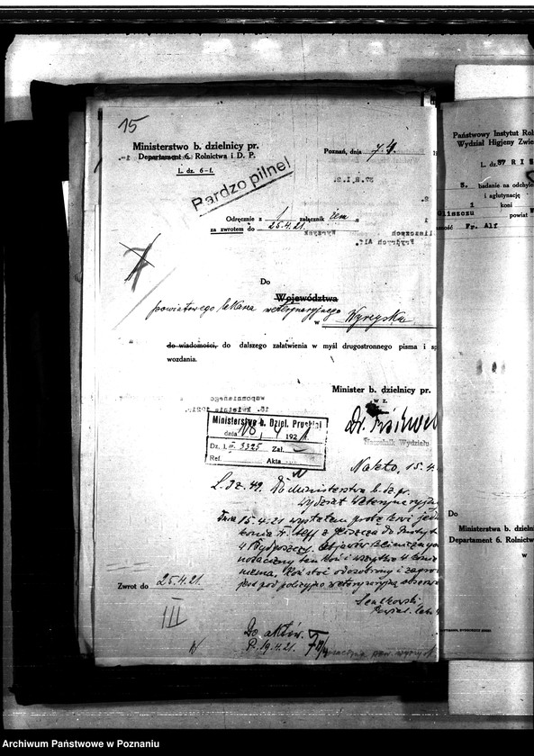 Obraz 19 z jednostki "Nosacizna - Wyrzysk"