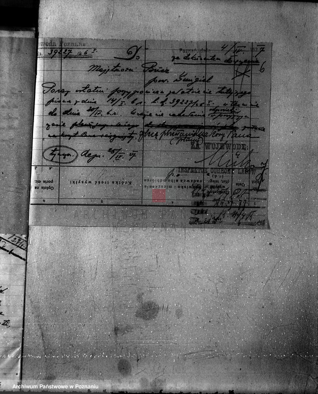 Obraz 10 z jednostki "Nadzór nad gospodarką w lasach majętności Bucz powiat kościański"