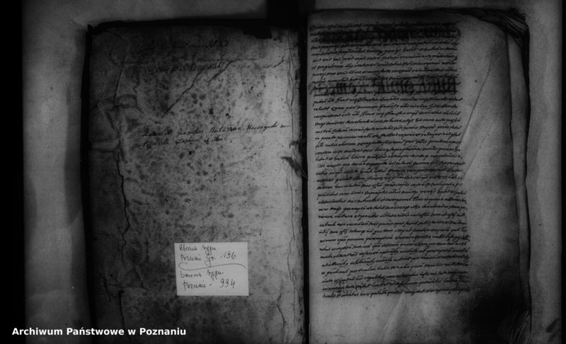 Obraz 3 z jednostki "Inscriptiones [inducta]"