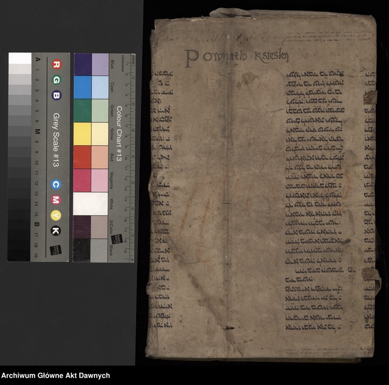 image.from.unit.number "[Rekognicjarz poborowy powiatu księskiego]."