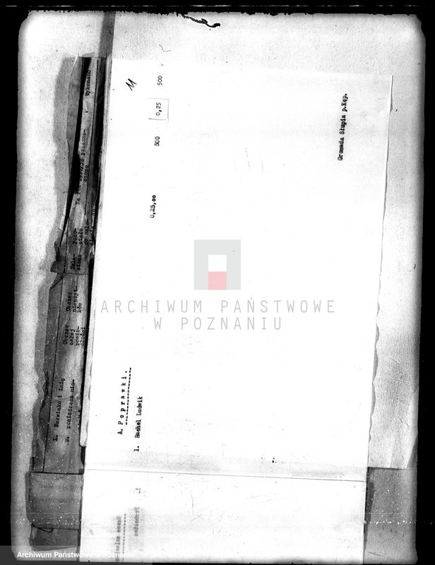 Obraz 15 z jednostki "/Sprawozdania z zalesienia nieużytków na terenie powiatu kępińskiego"