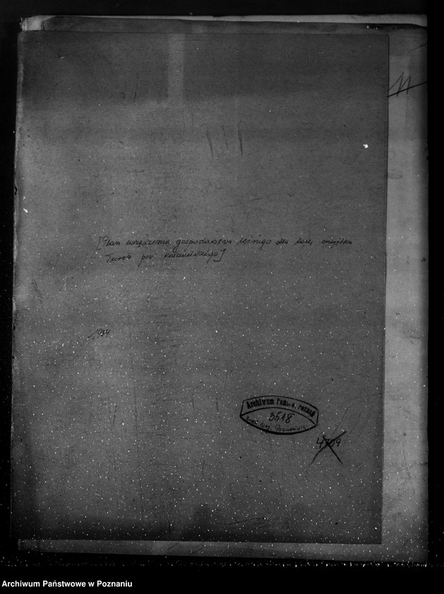 Obraz 4 z jednostki "/Plan urządzania gospodarstwa leśnego dla lasu majątku Turew powiatu kościańskiego 1933-1943/"