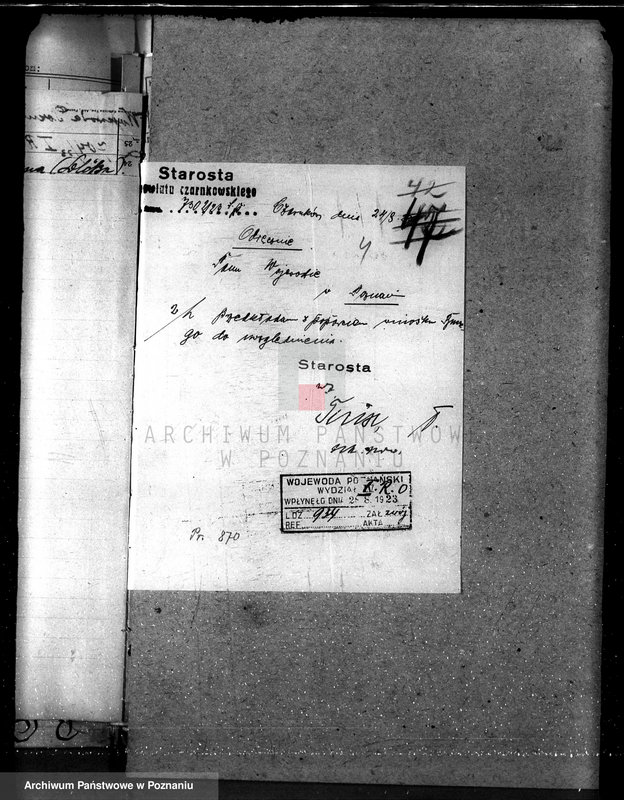 Obraz 8 z jednostki "Nadzór nad gospodarką w lasach majątku Osuch /Z. Busse/ w powiecie czarnkowskim"