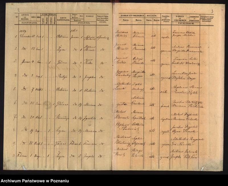 Obraz 4 z jednostki "Duplicat baptisatorum"