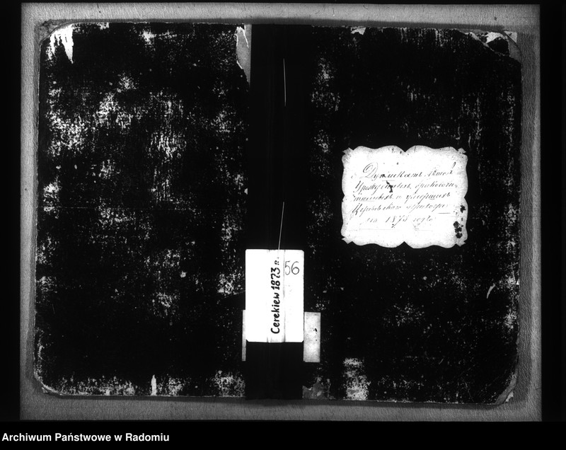 image.from.unit.number "Duplikat aktov o uroždennyh, brakosočetannyh i umeršyh Cerekevskago Prihoda na 1873 god"