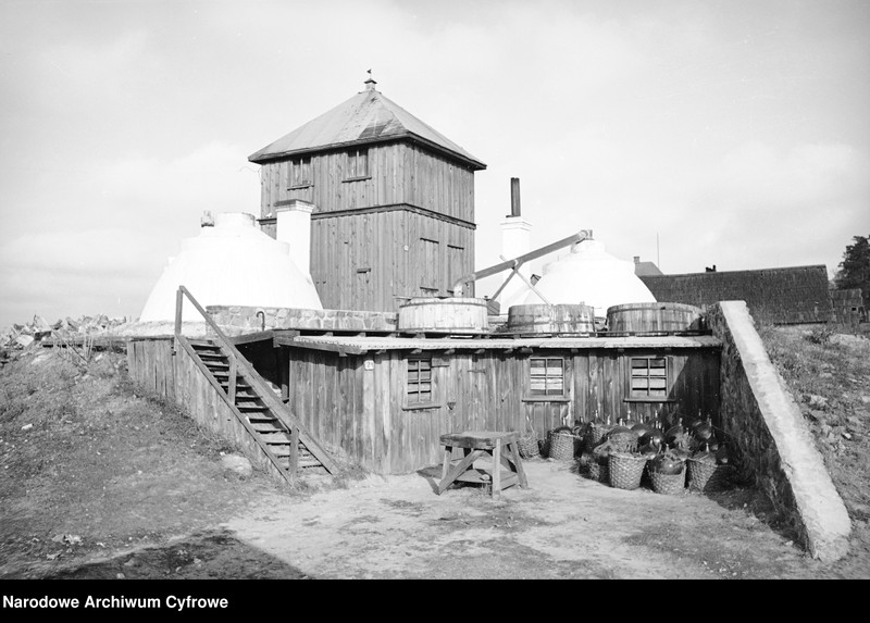 Obraz z zespołu "Archiwum fotograficzne Henryka Poddębskiego"