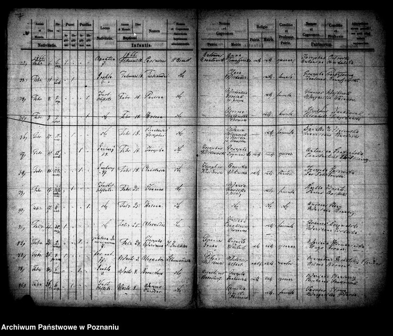 Obraz 5 z jednostki "Księga urodzin"