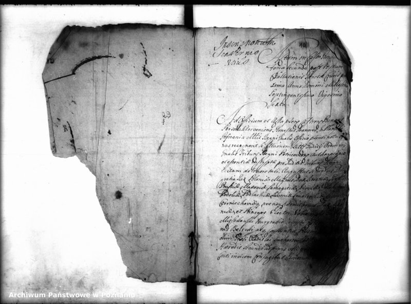 Obraz 4 z jednostki "Inscriptiones, resignationes [protocollon]"