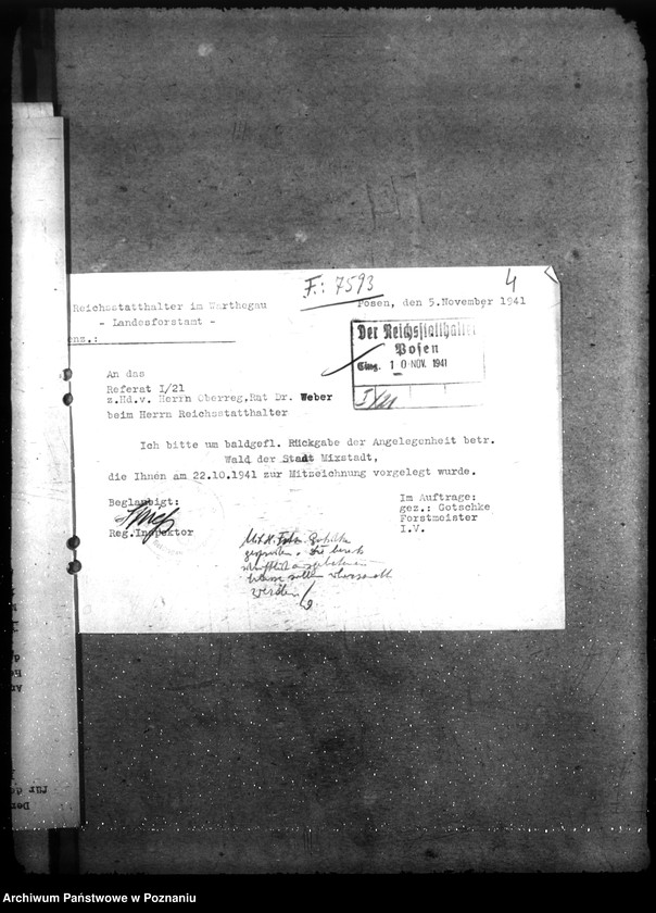 Obraz 8 z jednostki "Zarządzanie i gospodarowanie lasami gminnymi"