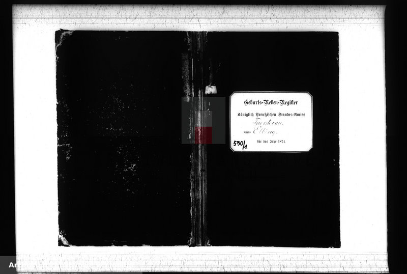 image.from.unit.number "Księga urodzeń 1874 rok"