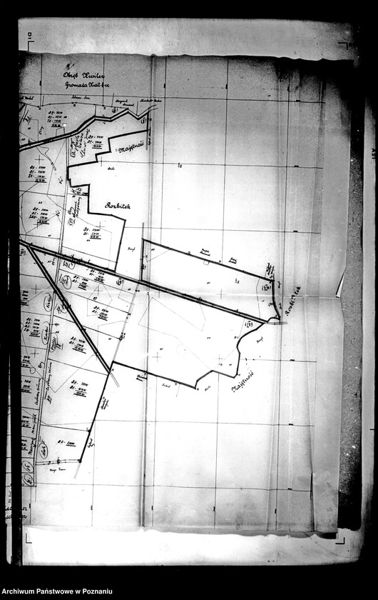 Obraz 16 z jednostki "/Majątek Prusim-Rozbitek powiatu międzychodzkiego parcelacja"
