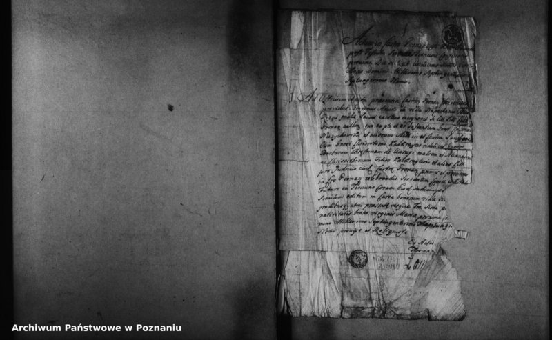 Obraz 4 z jednostki "Decreta officii [protocollon]"