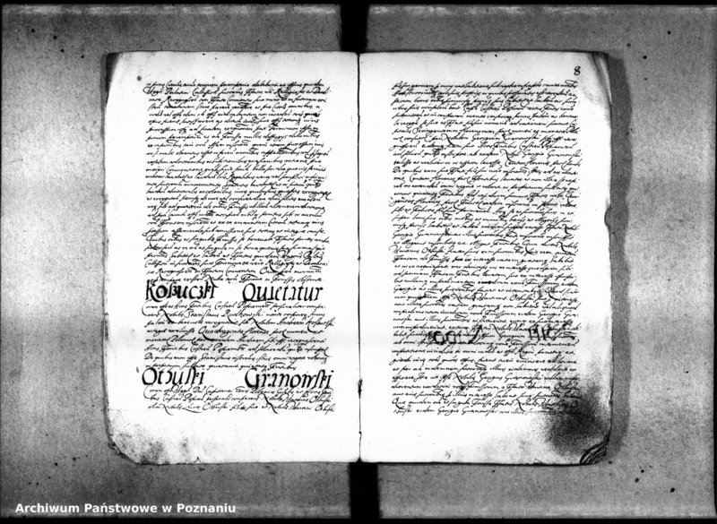 Obraz 11 z jednostki "Inscriptiones [inducta]"