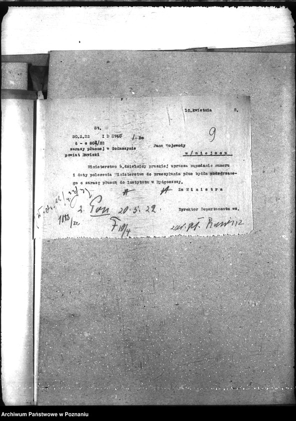 Obraz 13 z jednostki "Zaraza płucna - Rawicz"