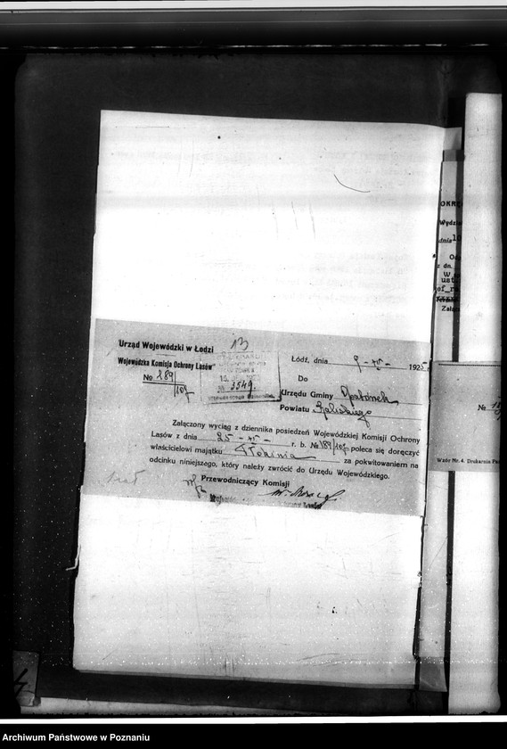 Obraz 17 z jednostki "Sprawa o niedostateczne zalesienie lasu 16,24 ha w majątku Tłokinia"