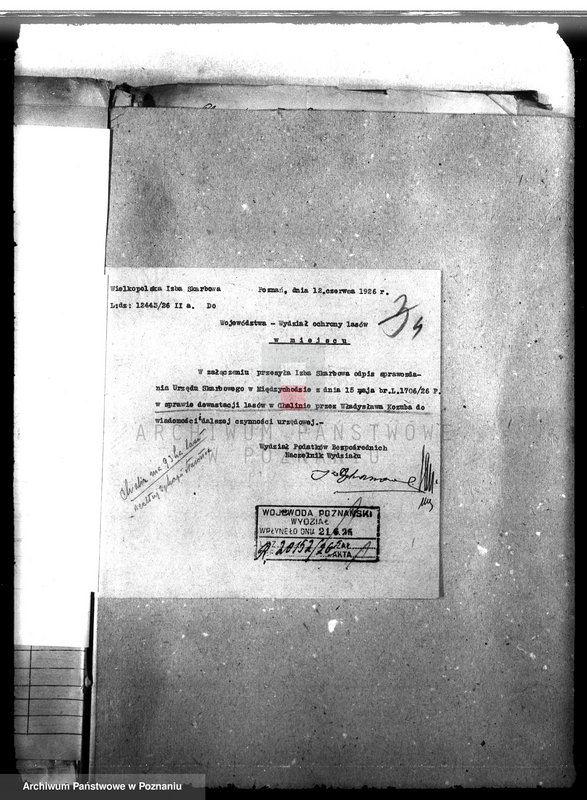 Obraz 8 z jednostki "Majętność leśna Chalin powiat międzychodzki"