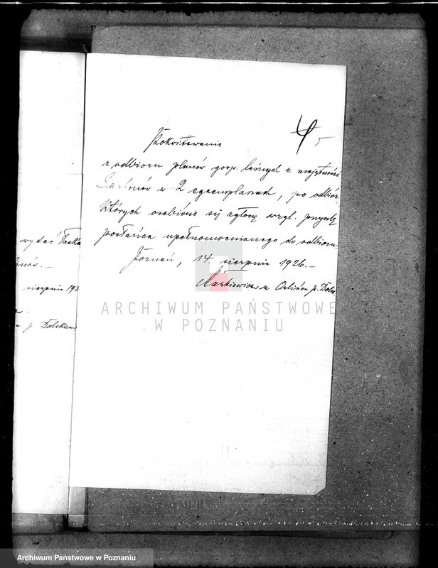 Obraz 8 z jednostki "Majętność leśna Sarbinowo w powiecie gostyńskim"