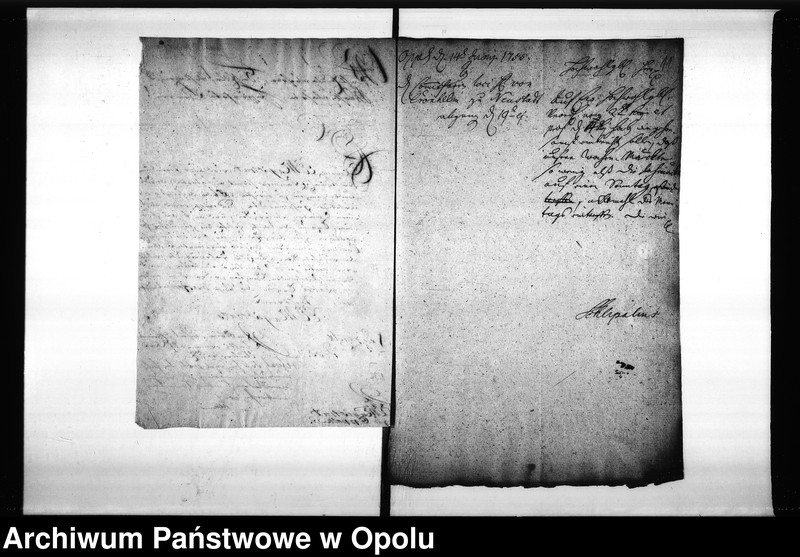 Obraz 14 z jednostki "Acta des Magistrats zu Oppeln von den hiesigen Cram-Woll-Vieh und Wochenmärckten"