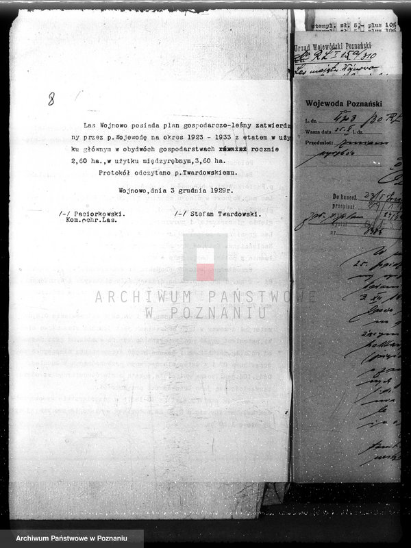 Obraz 12 z jednostki "Nadzór nad gospodarką w lasach majętności Wojnowo powiat obornicki"