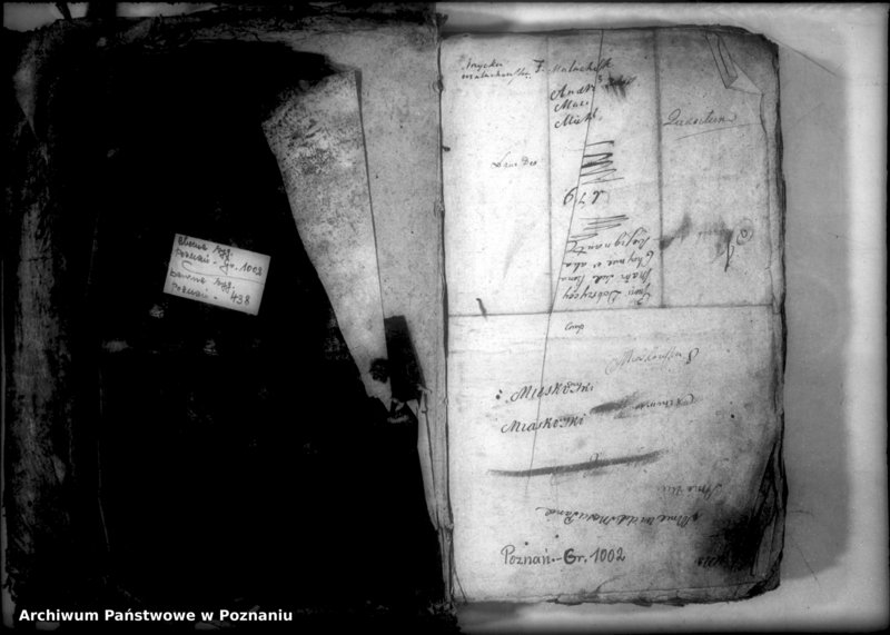 Obraz 3 z jednostki "Relationes [protocollon]"