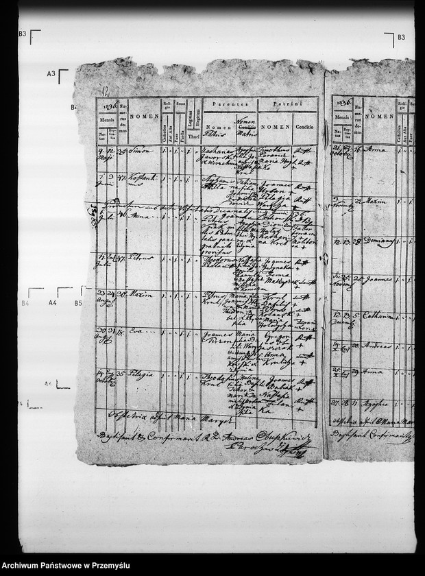 Obraz 16 z jednostki "[Kopie ksiąg metrykalnych parafii Zdynia z filiami Konieczna, Ług (dekanat Gorlice)]"
