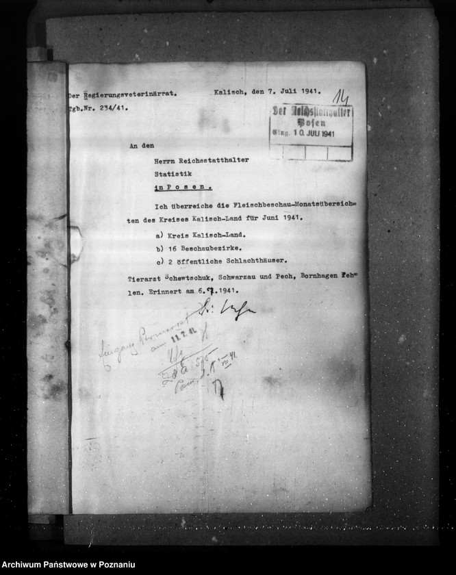 Obraz 18 z jednostki "Statistik über Fleischbeschau und Schlachtungen"