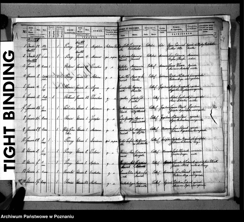 Obraz z jednostki "Liber baptisatorum, copulatorum, mortuorum"