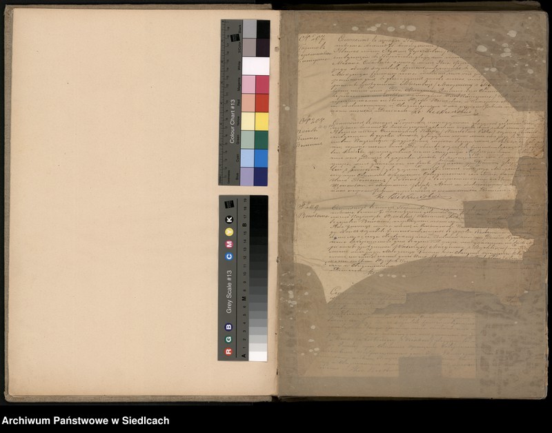 Obraz z jednostki "[Akta urodzeń od Nr.207]-Unikat"