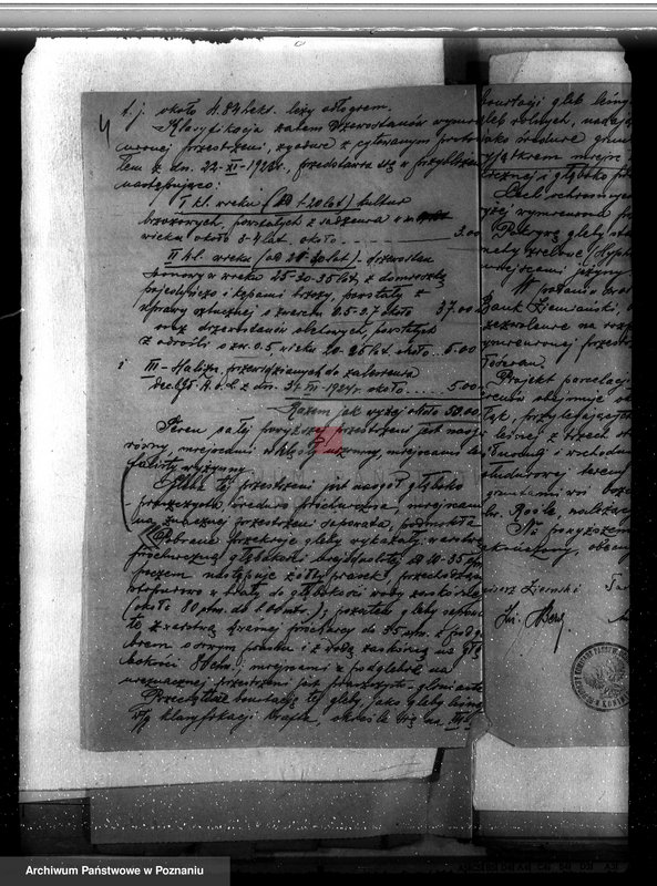 Obraz 8 z jednostki "Przedłużenie terminu zalesienia gruntów leśnych w majątku Mniewo powiatu kolskiego gmina Karczew"