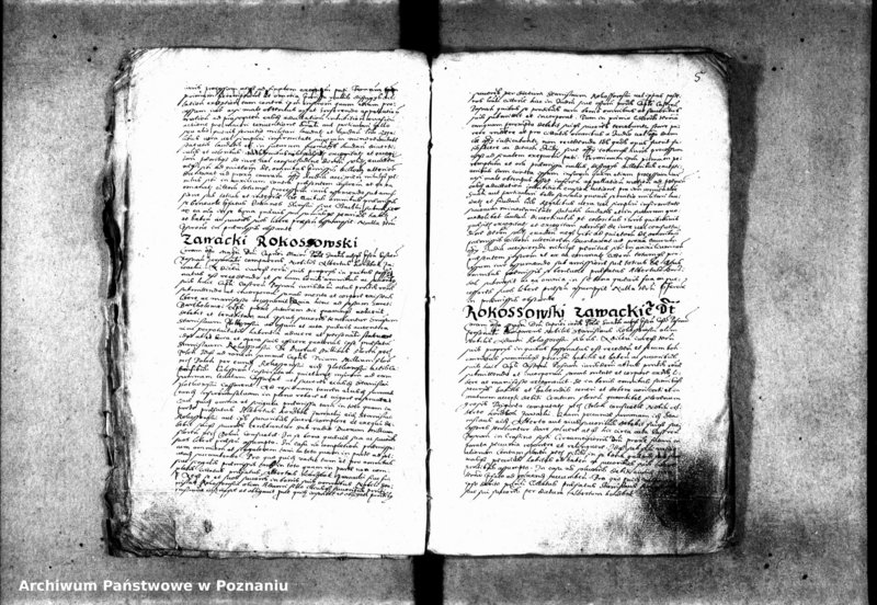 Obraz 12 z jednostki "Inscriptiones [inducta]"