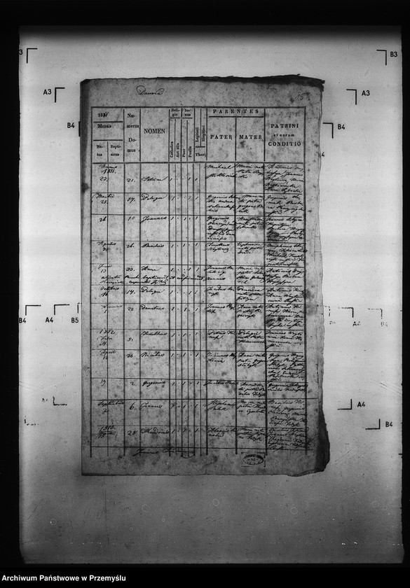 image.from.unit.number "[Kopie ksiąg metrykalnych parafii Kormanice z filiami Darowice, Fredropol (dekanat Niżankowice)]"