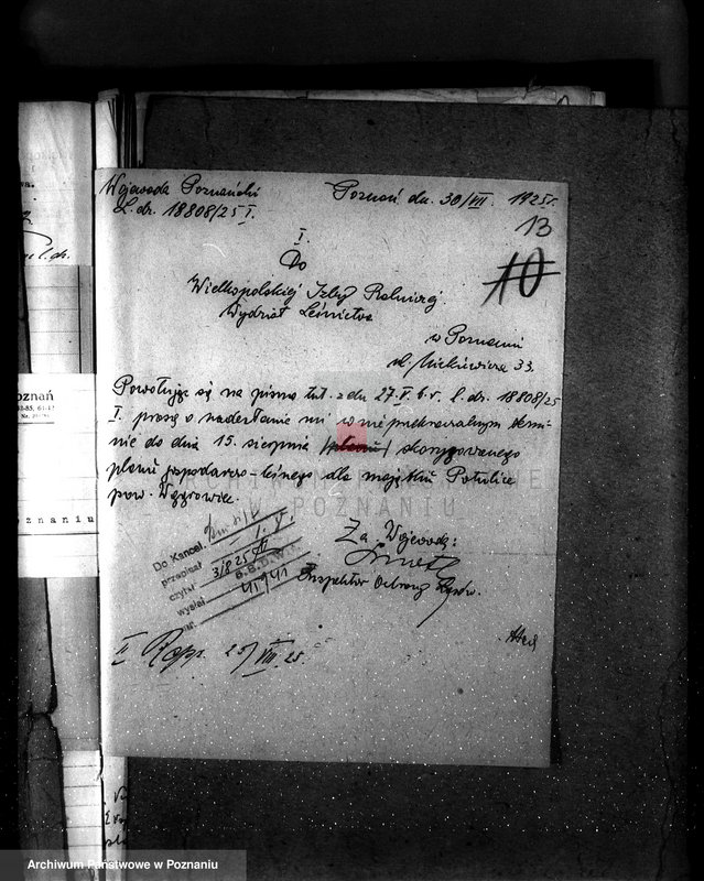 Obraz 17 z jednostki "Majętność leśna Potulice powiat wągrowiecki"