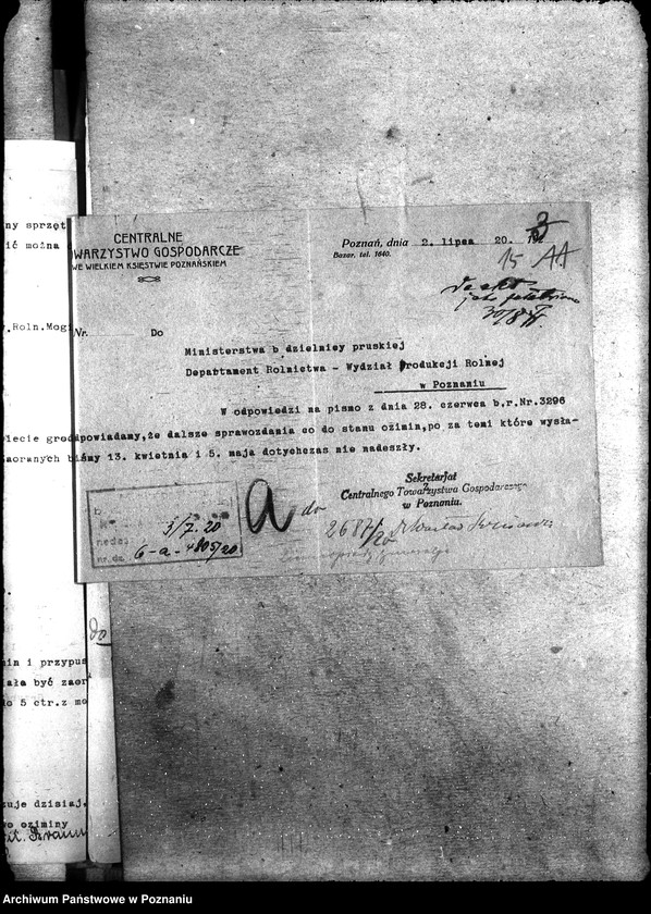 Obraz 19 z jednostki "Ziemiopłody - generalia"