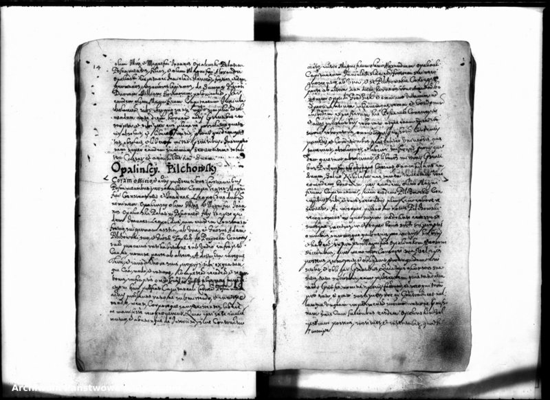 Obraz 18 z jednostki "Inscriptiones [inducta]"