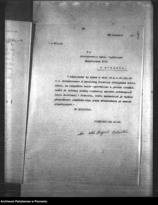 Obraz 8 z jednostki "Konie"