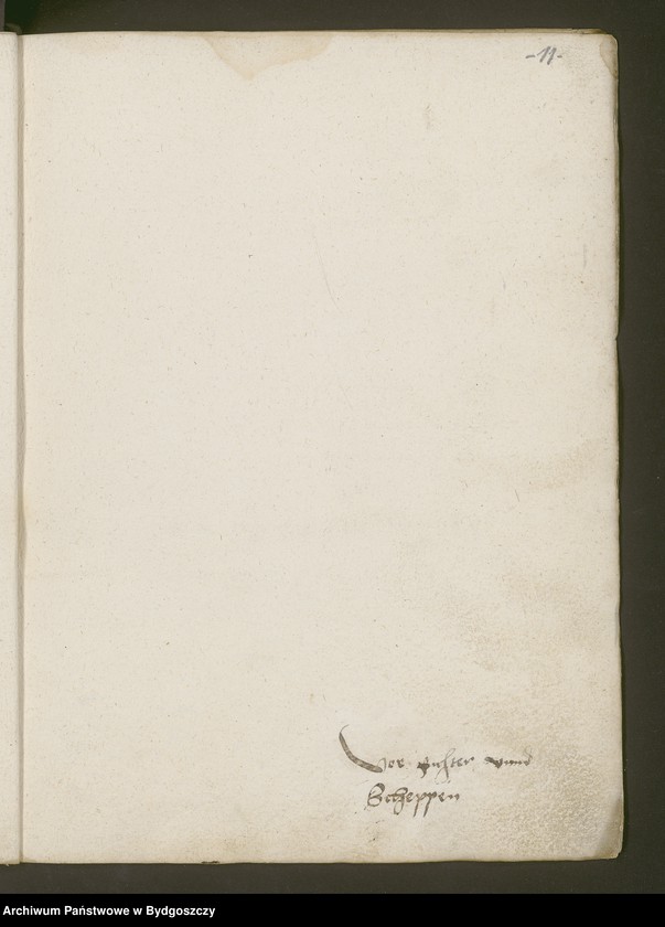 image.from.unit.number "Scheppenbuch der Stadt Neuenburg"
