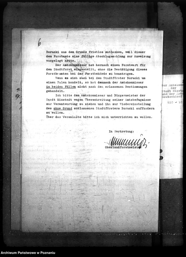 Obraz 10 z jednostki "Zarządzanie i gospodarowanie lasami gminnymi"