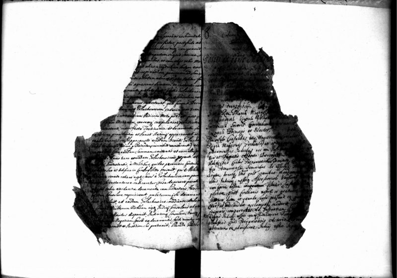 Obraz 8 z jednostki "Lib. civium, inscriptiones, relationes [protocollon]"