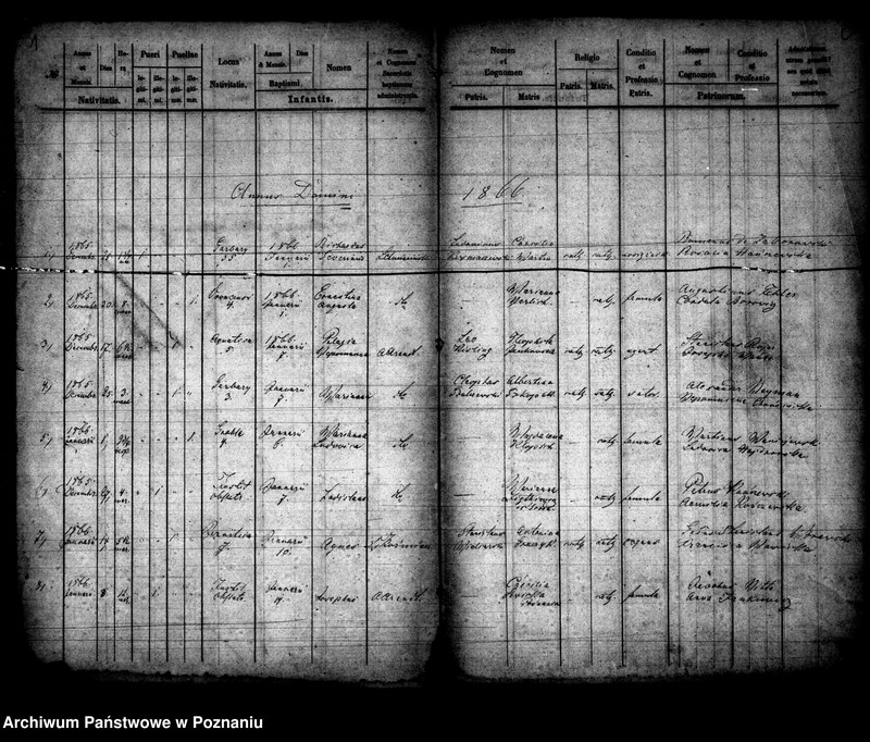 Obraz 2 z jednostki "Księga urodzin"